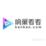 深圳响巢看看信息技术有限公司