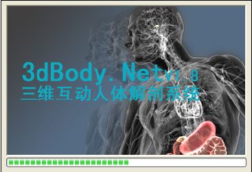 三维人体解剖软件(3dBody)截图