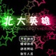 北大英雄2011