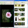AI Picture Explorer
