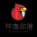 神鹰部落