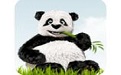 TinyPNG For Photoshop