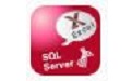 XlsToSql