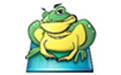 toad for sql server