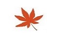 枫叶WMV视频格式转换器