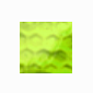 Free RAR Extract Frog