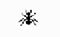 12-Ants