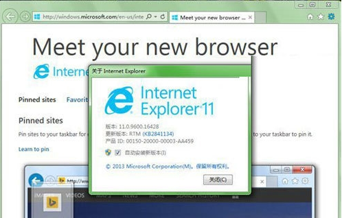 internet explorer11怎么安装?internet explorer11快速安装方法截图