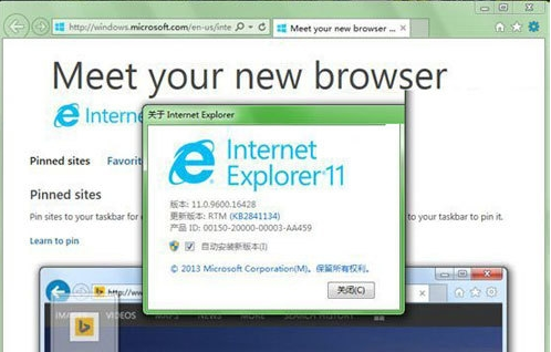 Internet Explorer 11(ie11浏览器)截图