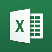 Microsoft Excel